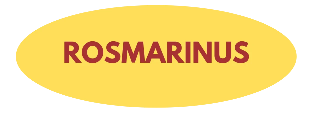 Rosmarinus